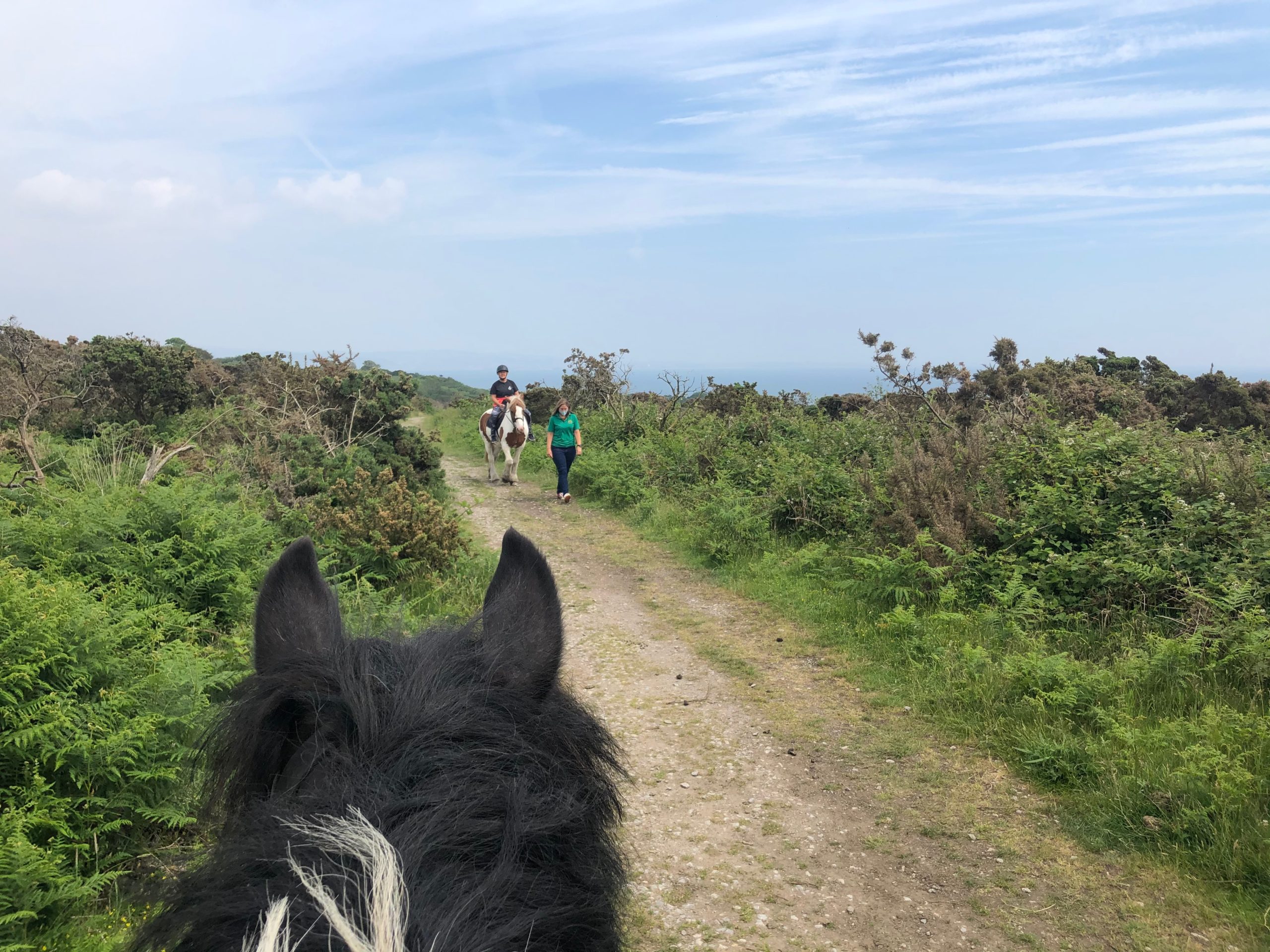 horse-riding-wellwild