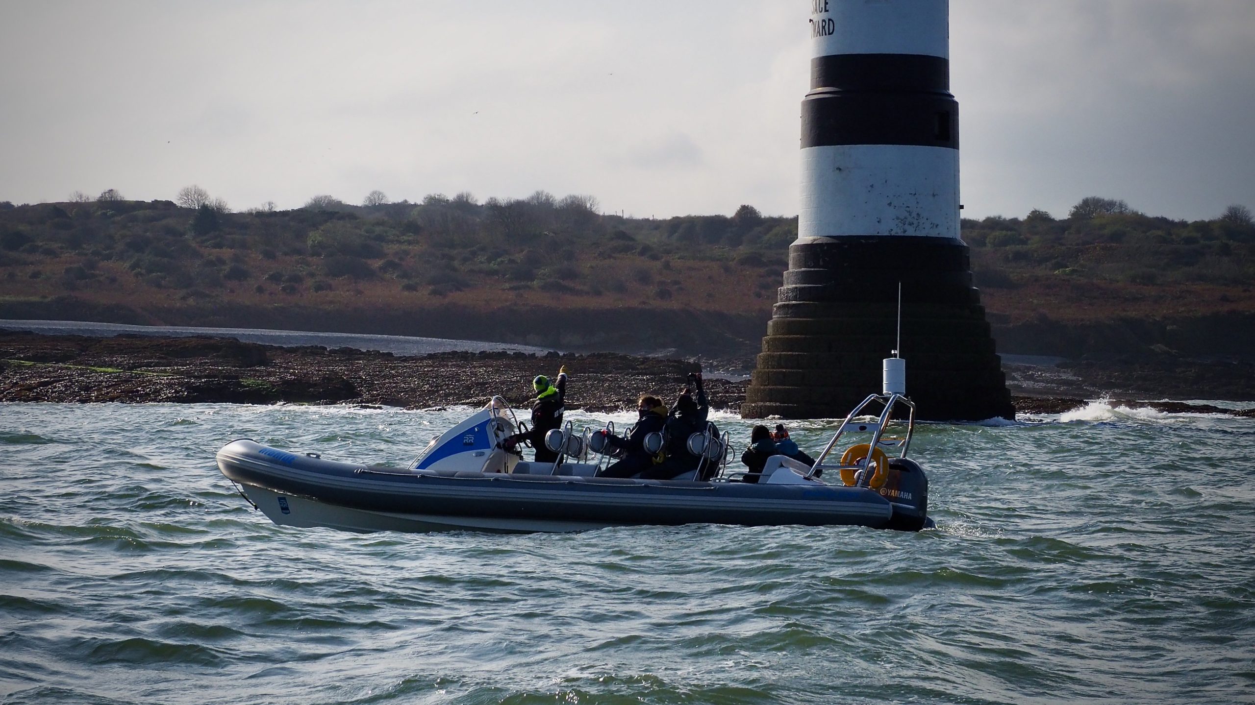 puffin island boat trips conwy